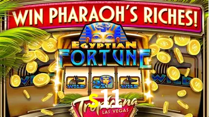 Descubra a Essência do s11: Nossa História e Compromissos